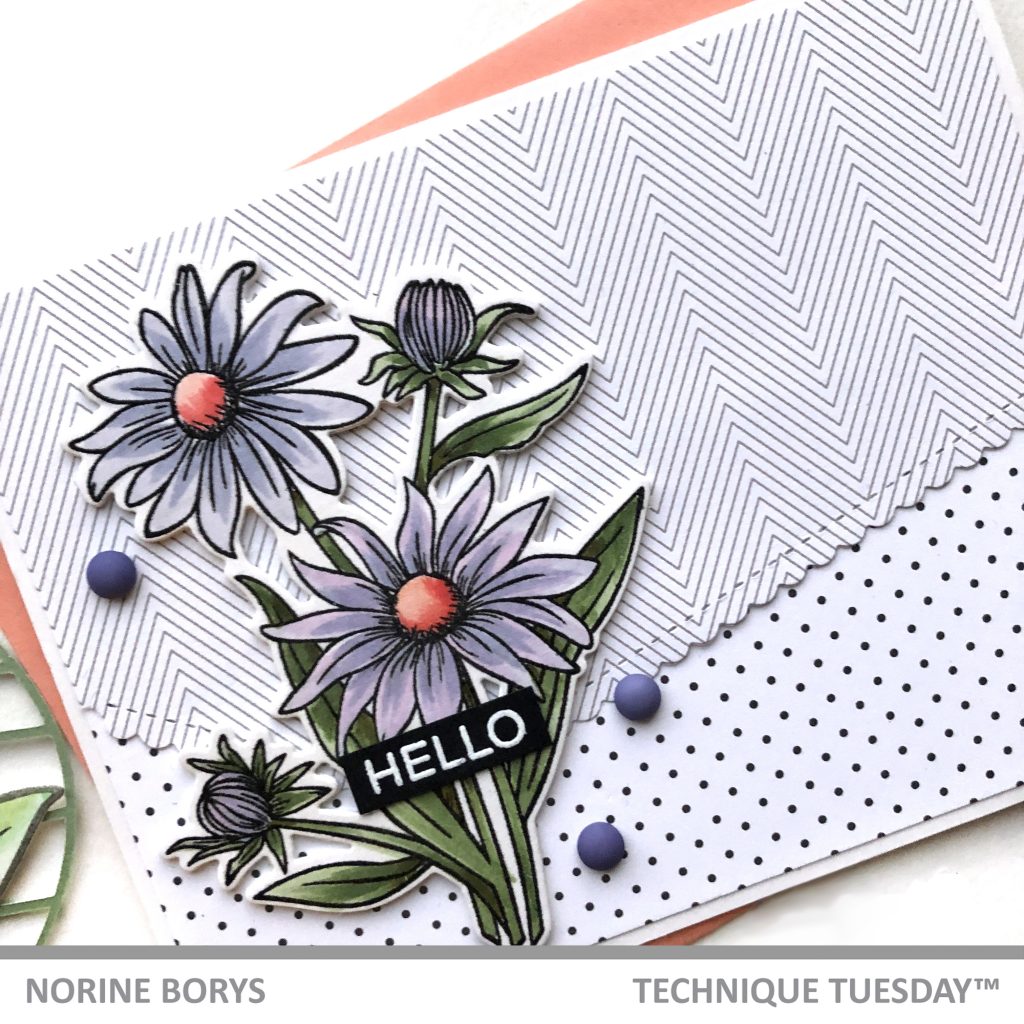 Echinacea Flower, Technique Tuesday Clear Stamps