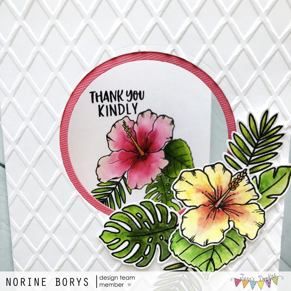 Jane’s Doodles Tropical Hibiscus Card – Velvetlemon