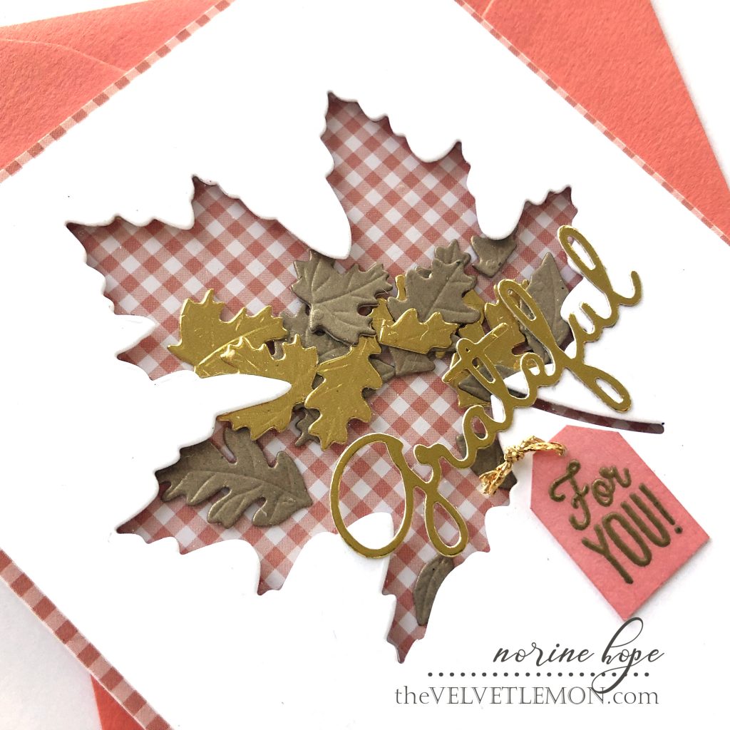 Fall Leaves Shaker Cards – Spellbinders – Velvetlemon